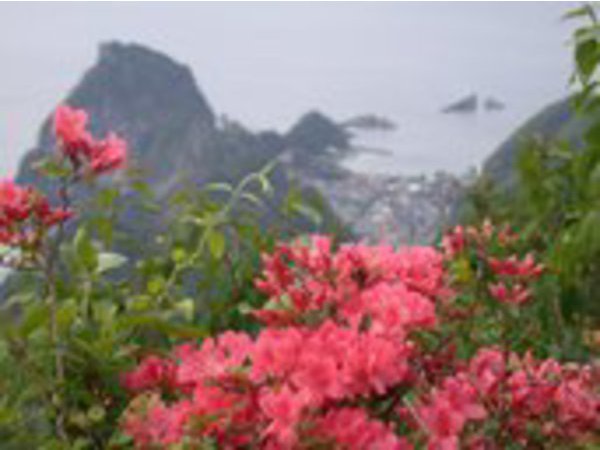 高通山つつじ祭り