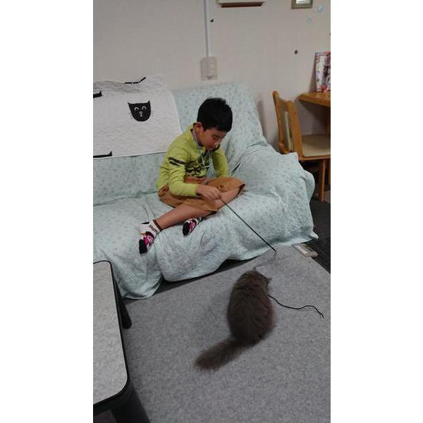 お小遣いを貯めて