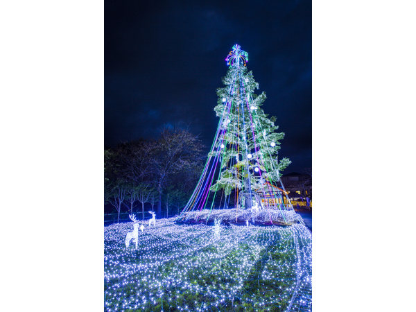 時之栖イルミネーション　2014-2015