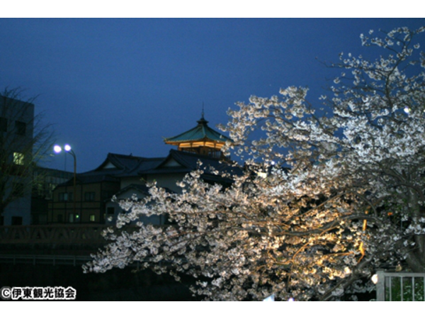 松川灯りの小径