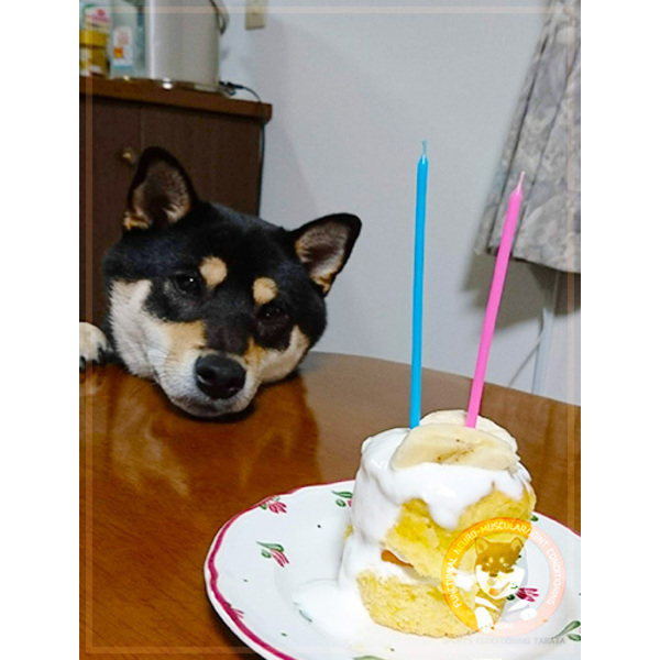 夕食は、タンパク質を･･･？