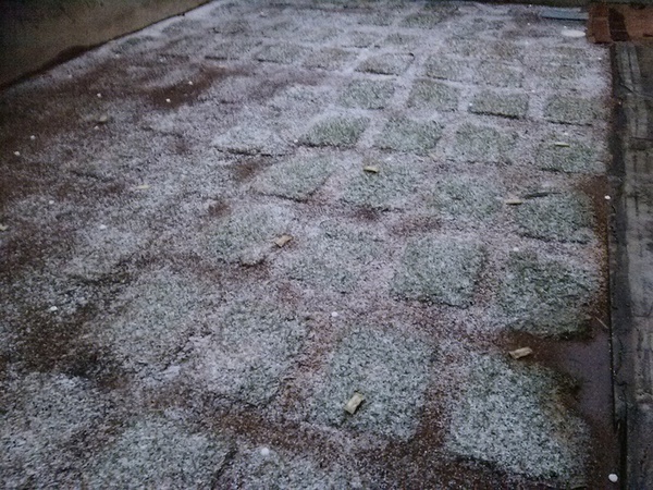 伊東市内も雪が降ってきました！