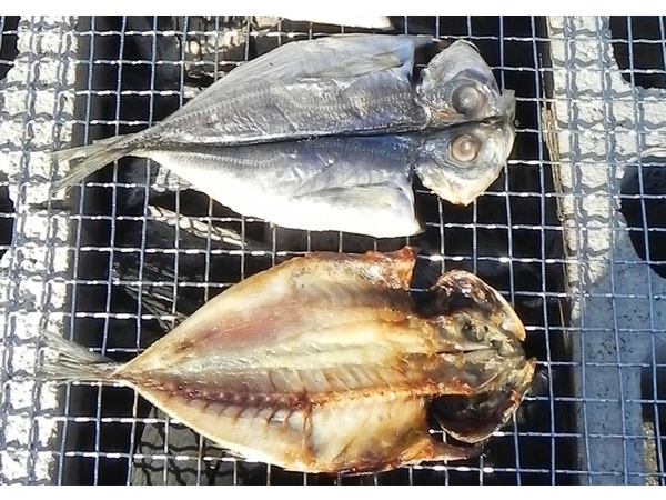 網代温泉ひもの祭り