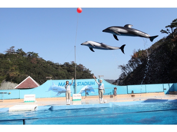 下田海中水族館