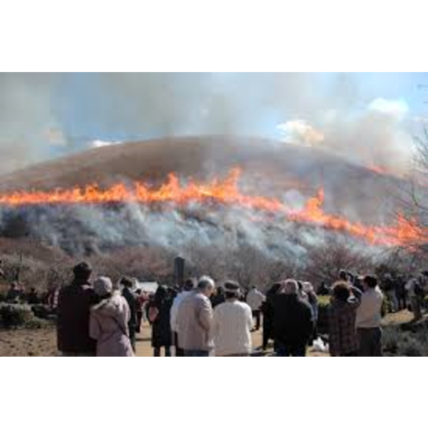 伊豆に春を告げる大室山山焼き（炎の舞）