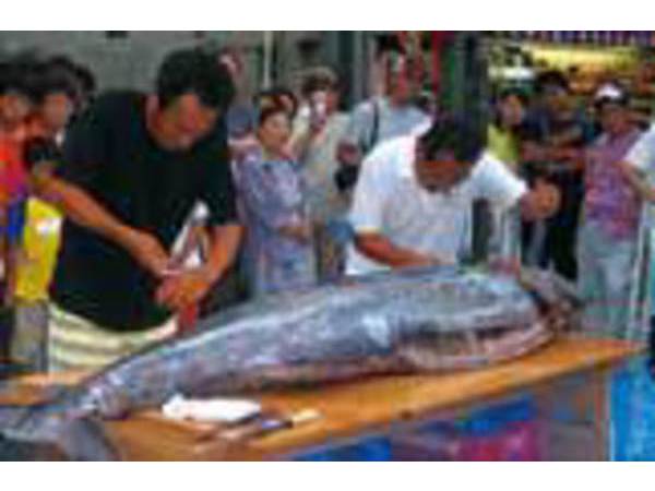 カジキ解体ショー