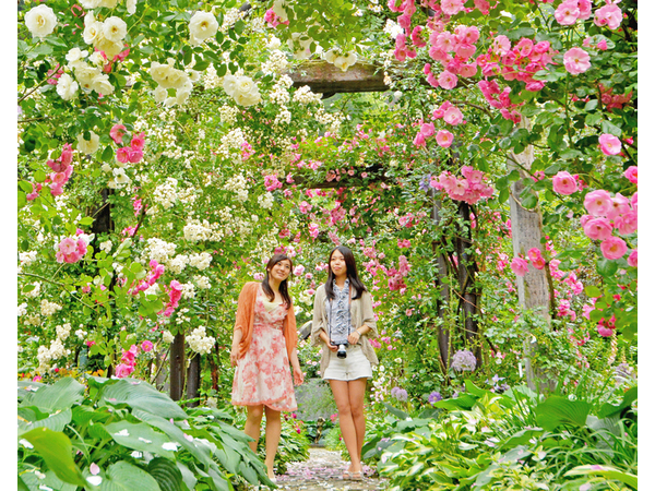 熱海ローズフェスティバル2015