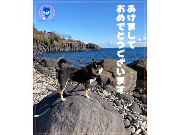 お正月太り解消！