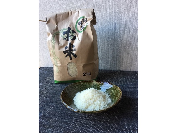 お客様からの贈り物