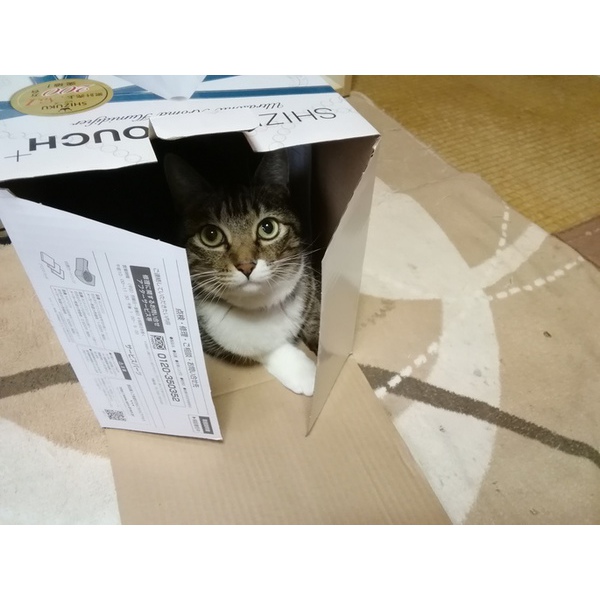 癒やされる(*^^*)