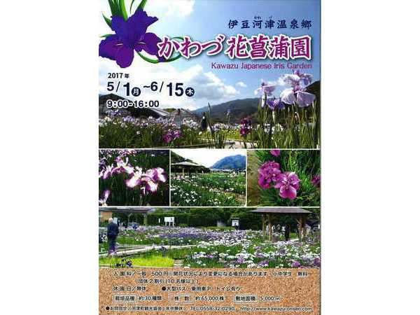 かわづ花菖蒲園　開園