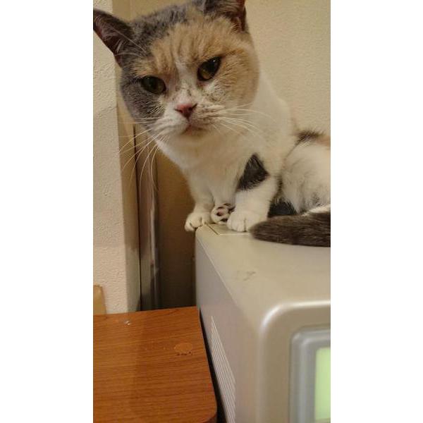 こうちゃん良かったね(=^ェ^=)