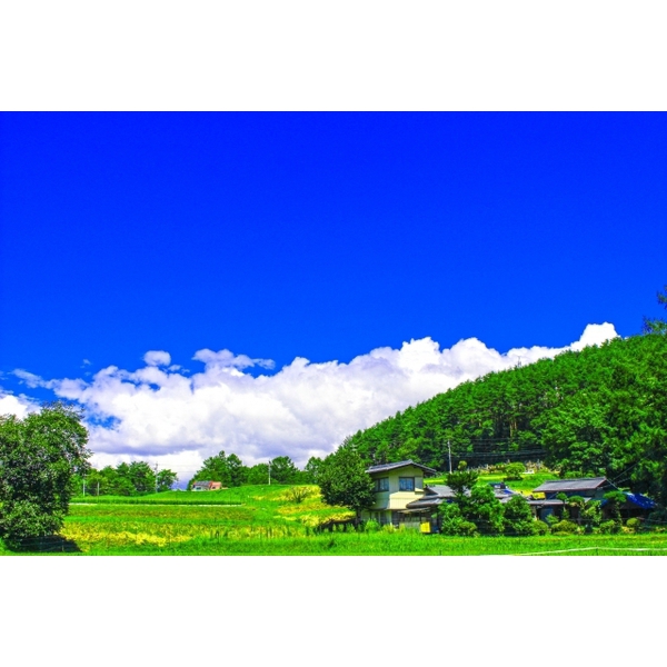 お盆休み、満喫されましたか？