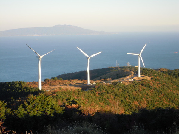 夏休み風車見学会