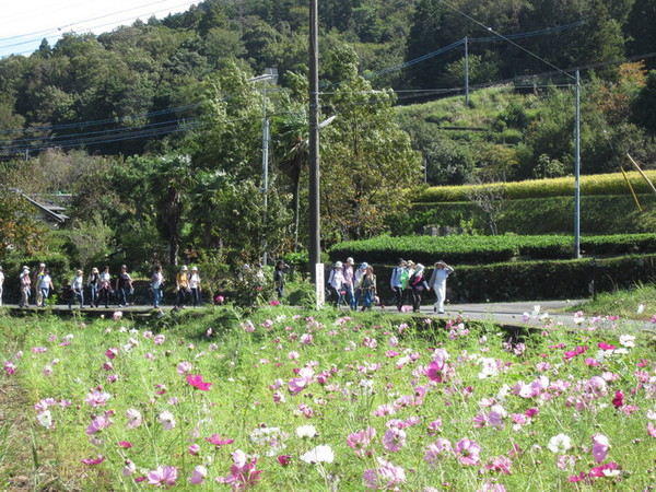 奥の院・秋の静寂