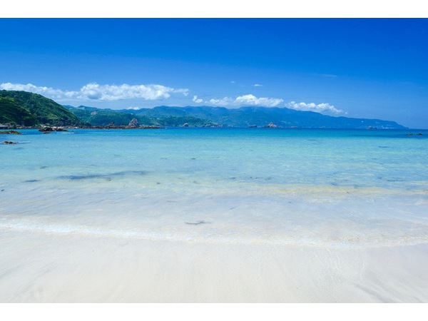 夏だ〜海だ〜伊豆だ〜