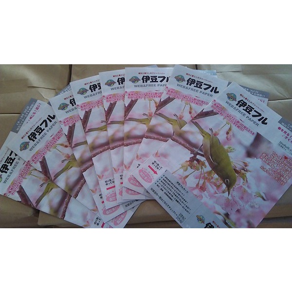 古民家から春をお届けいたします！