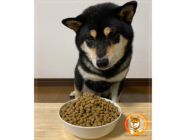 食べて痩せる？