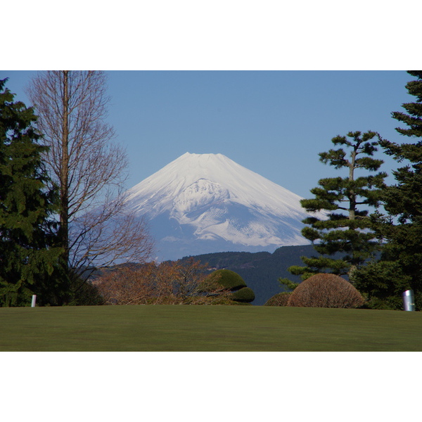 あけましておめでとうございます