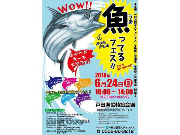 【魚ってるフェス】