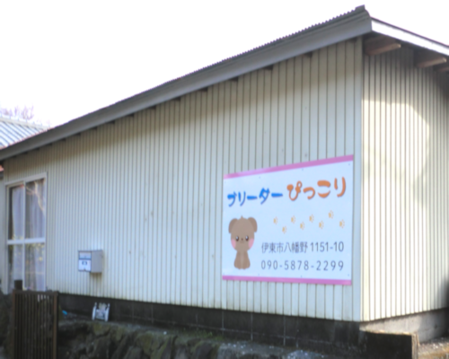 ブリーダーぴっこり